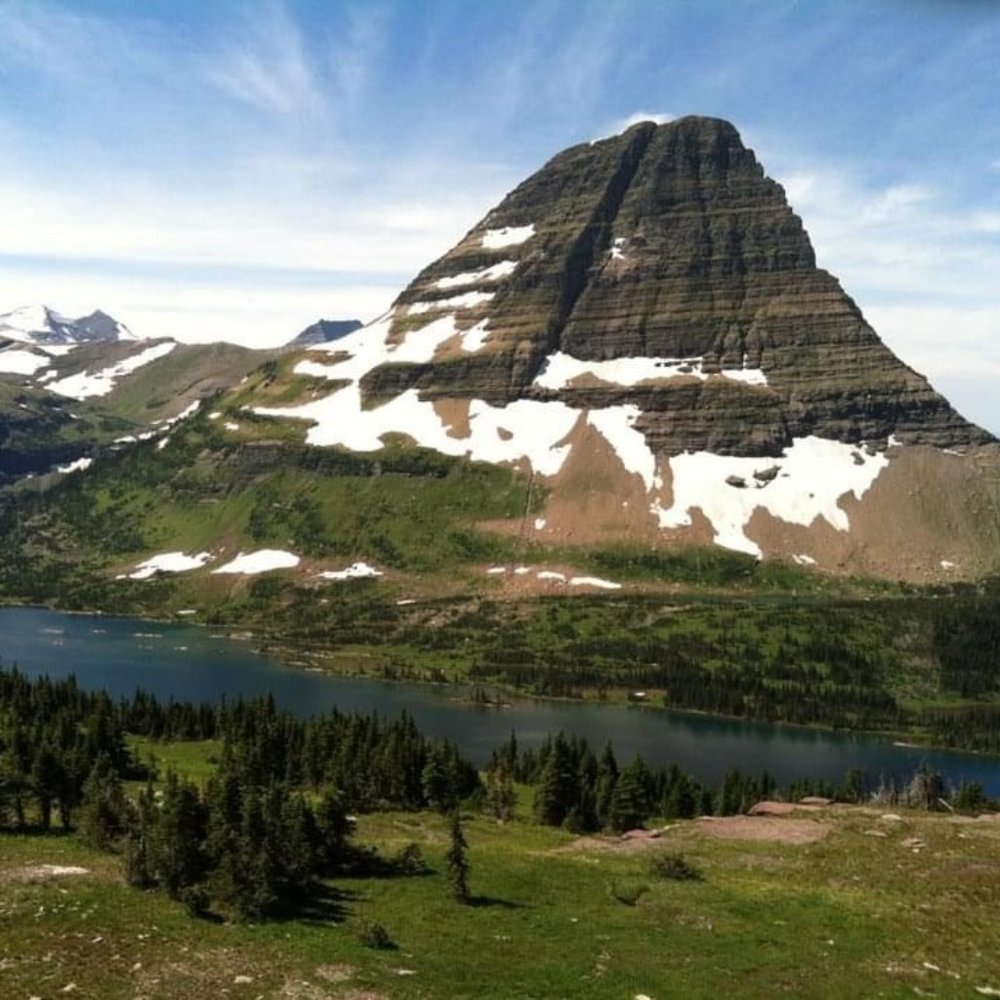 Meet your Posher, Shannon